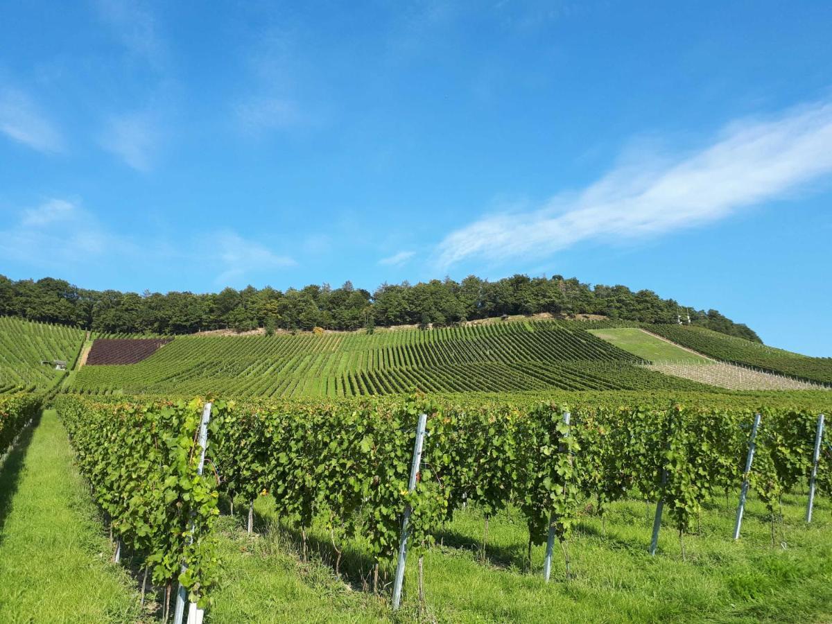 Weinlodge Am Geissberg Eberstadt Exterior foto